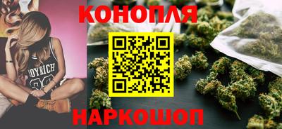 стаф Шахты