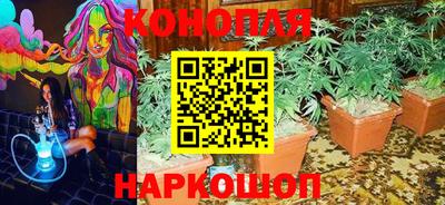 наркотики Будённовск
