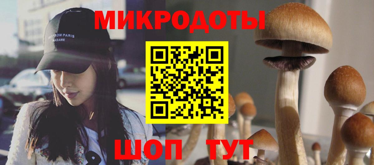 Псилоцибиновые грибы мицелий  Вход с VPN  Кыштым 